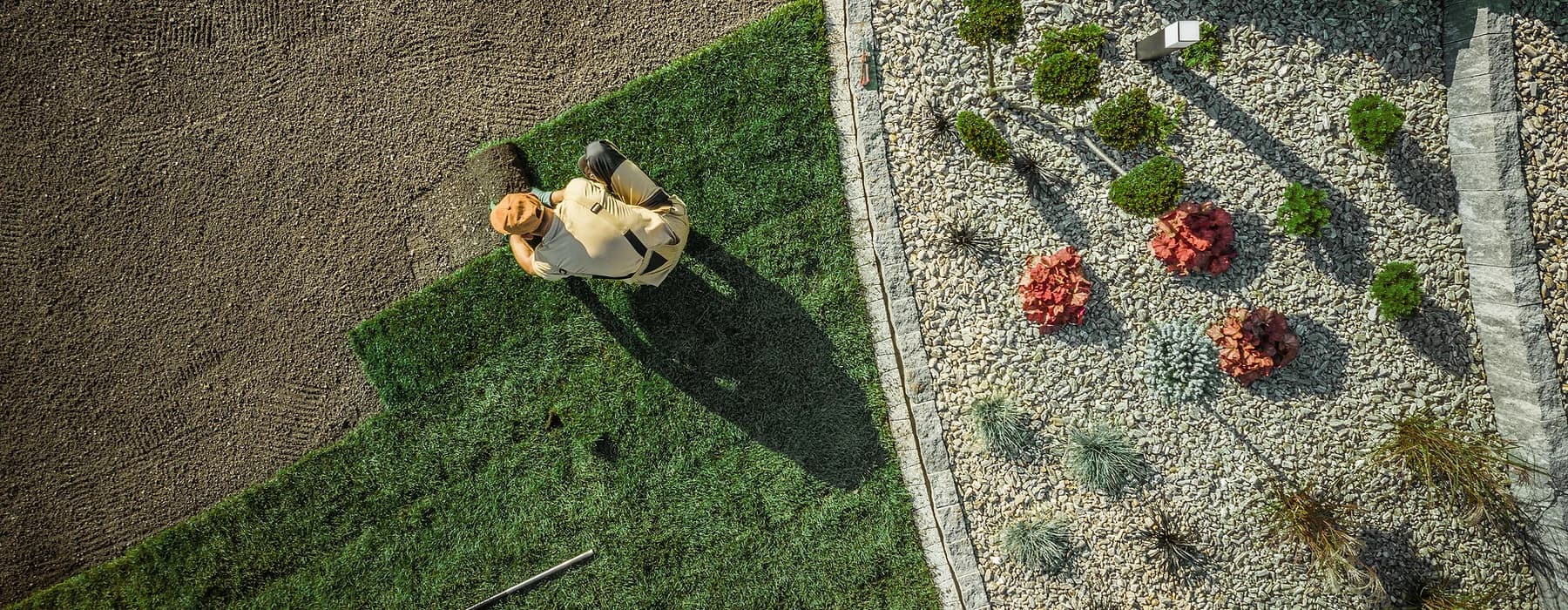Site crew laying turf grass across a prepared landscape bed
