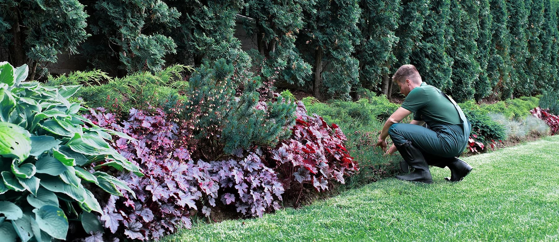 Horticulture technician maintaining planted greenery on site